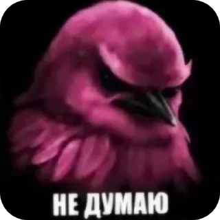 🐦 Стикер «Набор стикеров с мемной птицей «Вряд-ли»» для Telegram