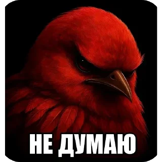 🐦 Стикер «Набор стикеров с мемной птицей «Вряд-ли»» для Telegram