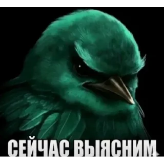🐦 Стикер «Набор стикеров с мемной птицей «Вряд-ли»» для Telegram