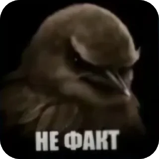 🐦 Стикер «Набор стикеров с мемной птицей «Вряд-ли»» для Telegram
