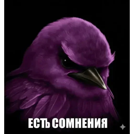 🐦 Стикер «Набор стикеров с мемной птицей «Вряд-ли»» для Telegram