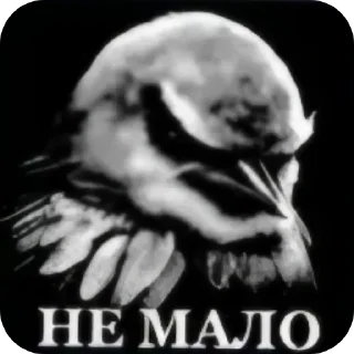 🐦 Стикер «Набор стикеров с мемной птицей «Вряд-ли»» для Telegram