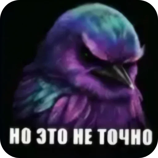 🐦 Стикер «Набор стикеров с мемной птицей «Вряд-ли»» для Telegram