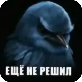 🐦 Стикер «Набор стикеров с мемной птицей «Вряд-ли»» для Telegram