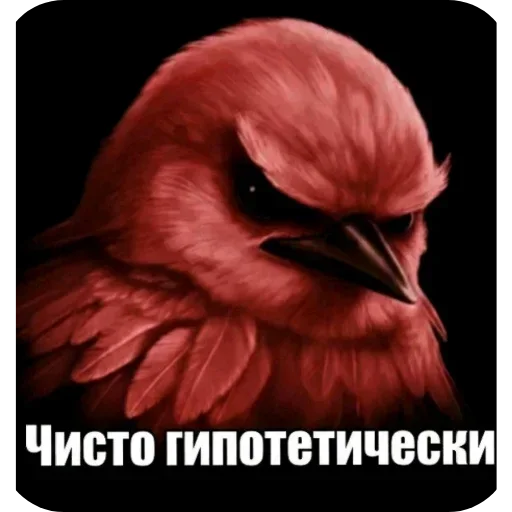 🐦 Стикер «Набор стикеров с мемной птицей «Вряд-ли»» для Telegram