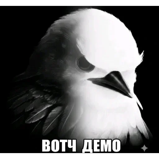 🐦 Стикер «Набор стикеров с мемной птицей «Вряд-ли»» для Telegram