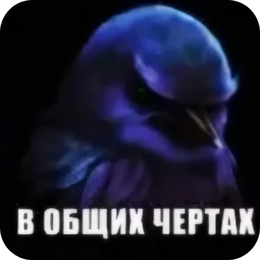 🐦 Стикер «Набор стикеров с мемной птицей «Вряд-ли»» для Telegram