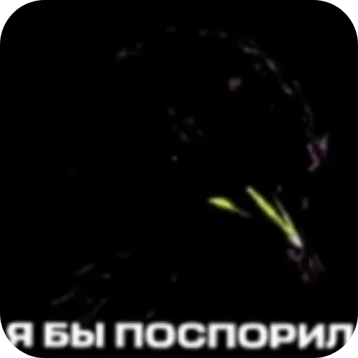 🐦 Стикер «Набор стикеров с мемной птицей «Вряд-ли»» для Telegram