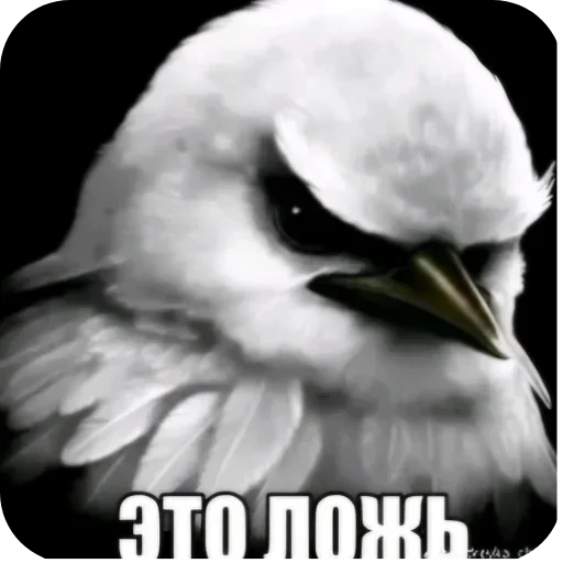 🐦 Стикер «Набор стикеров с мемной птицей «Вряд-ли»» для Telegram