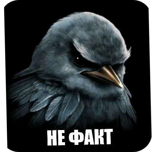 🐦 Стикер «Набор стикеров с мемной птицей «Вряд-ли»» для Telegram