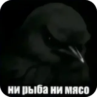🐦 Стикер «Набор стикеров с мемной птицей «Вряд-ли»» для Telegram