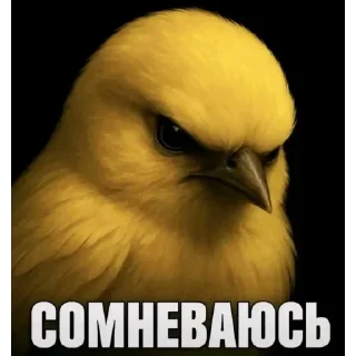 🐦 Стикер «Набор стикеров с мемной птицей «Вряд-ли»» для Telegram