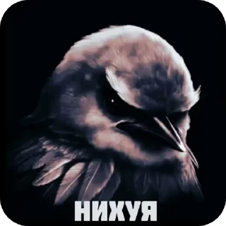 🐦 Стикер «Набор стикеров с мемной птицей «Вряд-ли»» для Telegram