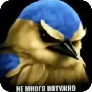 🐦 Стикер «Набор стикеров с мемной птицей «Вряд-ли»» для Telegram