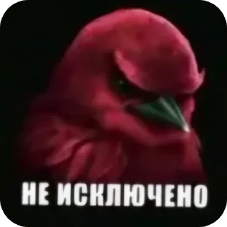 🐦 Стикер «Набор стикеров с мемной птицей «Вряд-ли»» для Telegram