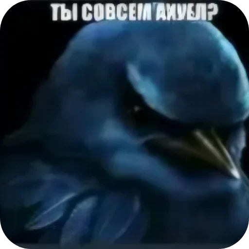 🐦 Стикер «Набор стикеров с мемной птицей «Вряд-ли»» для Telegram