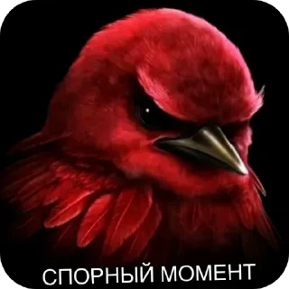 🐦 Стикер «Набор стикеров с мемной птицей «Вряд-ли»» для Telegram