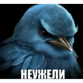 🐦 Стикер «Набор стикеров с мемной птицей «Вряд-ли»» для Telegram