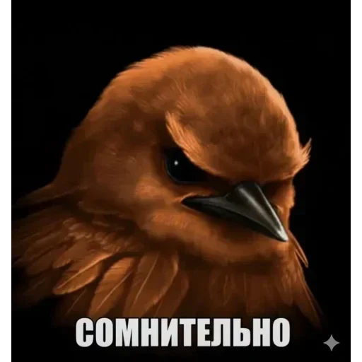 🐦 Стикер «Набор стикеров с мемной птицей «Вряд-ли»» для Telegram