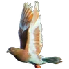 🕊️ Эмодзи «Голубчики» для Telegram