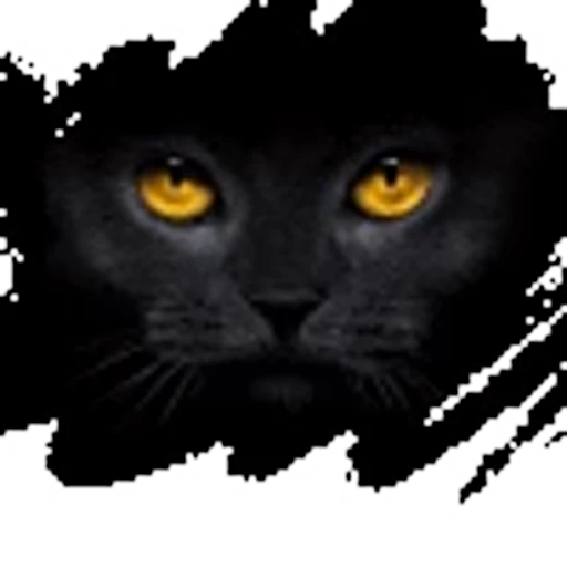 🖤 Эмодзи «Блэк» для Telegram
