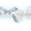 🩵 Эмодзи «‧₊˚🎐˖₊˖𝒷𝓁𝓊𝑒 𝒹𝒾𝓋𝒾𝒹𝑒𝓇𝓈🩵‧₊» для Telegram