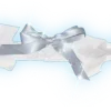 🩵 Эмодзи «‧₊˚🎐˖₊˖𝒷𝓁𝓊𝑒 𝒹𝒾𝓋𝒾𝒹𝑒𝓇𝓈🩵‧₊» для Telegram