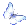 🦋 Эмодзи «[🩵💙] ˚₊· ͟͟͞͞➳❥ 𖥔 ݁ ˖» для Telegram