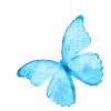 🦋 Эмодзи «[🩵💙] ˚₊· ͟͟͞͞➳❥ 𖥔 ݁ ˖» для Telegram