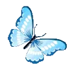 🦋 Эмодзи «[🩵💙] ˚₊· ͟͟͞͞➳❥ 𖥔 ݁ ˖» для Telegram