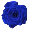 🤩 Эмодзи «Blue Magic» для Telegram