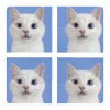 🤩 Эмодзи «𝐵𝘭𝘶𝘦 🌀» для Telegram