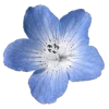 🌸 Эмодзи «𝐵𝘭𝘶𝘦 🌀» для Telegram