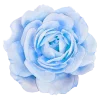 🤩 Эмодзи «𝐵𝘭𝘶𝘦 🌀» для Telegram