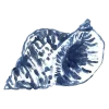 🐚 Эмодзи «𝐵𝘭𝘶𝘦 🌀» для Telegram