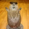 🤩 Эмодзи «Bóbr Бобр» для Telegram