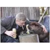 🤩 Эмодзи «Bóbr Бобр» для Telegram