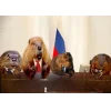 🤩 Эмодзи «Bóbr Бобр» для Telegram