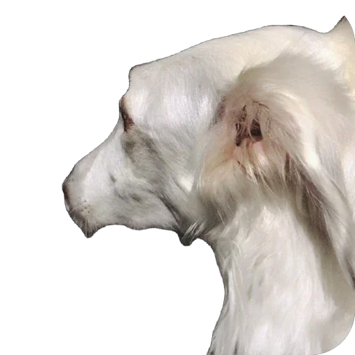 😐 Стикер «Borzoi Base» для Telegram