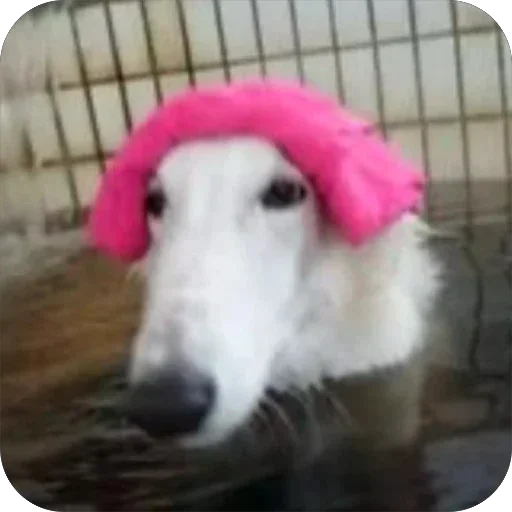 🧼 Стикер «Borzoi Base» для Telegram