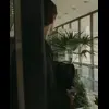 🌟 Эмодзи «Брат» для Telegram