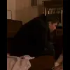 🌟 Эмодзи «Брат» для Telegram