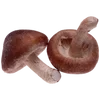 🌟 Эмодзи «Brown Food» для Telegram