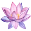 🌸 Эмодзи «Буддизм 🧘‍♀» для Telegram