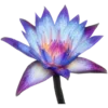 🌸 Эмодзи «Буддизм 🧘‍♀» для Telegram