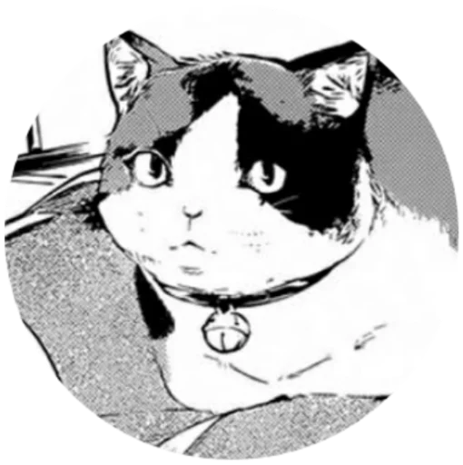😺 Стикер «Спидозные псины» для Telegram