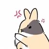 💢 Эмодзи «Rabbit» для Telegram