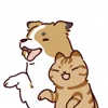 😂 Эмодзи «Rabbit» для Telegram