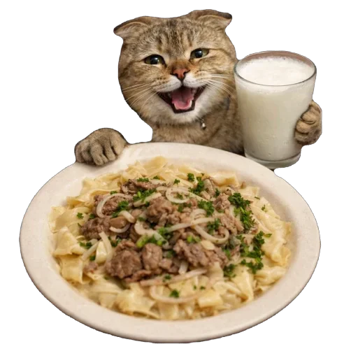 🐈 Стикер «Busya TT Memes» для Telegram
