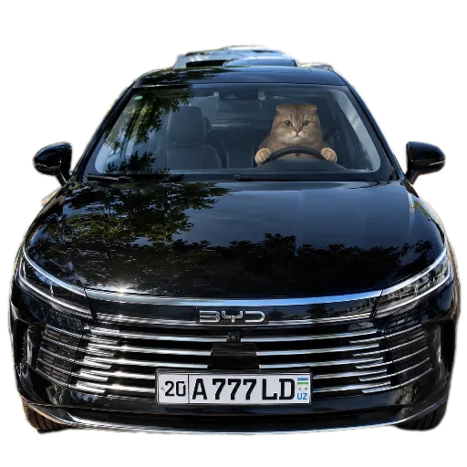 🚗 Стикер «Busya TT Memes» для Telegram